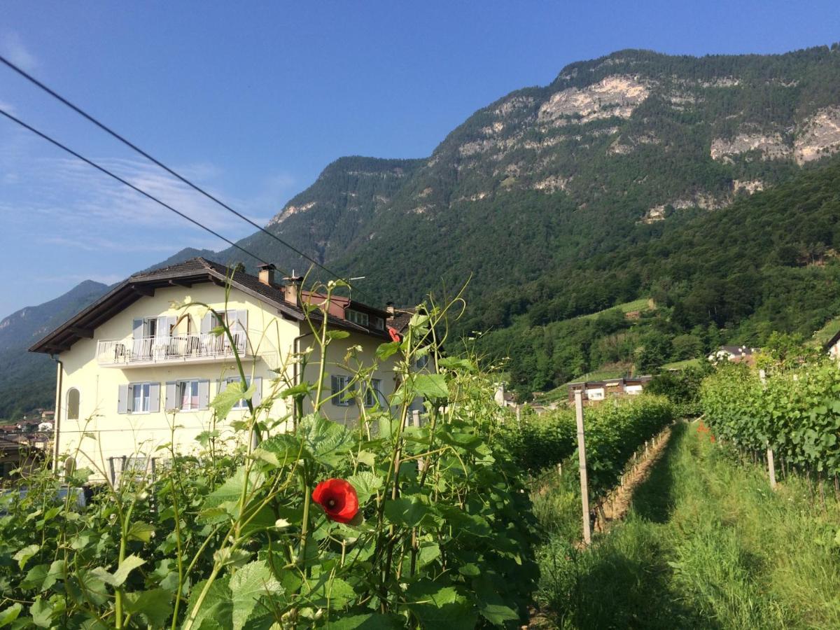 Strengen Guesthouse Caldaro sulla Strada del Vino Exterior foto